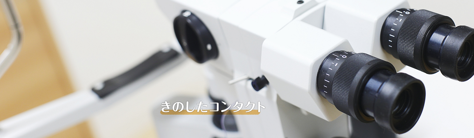 きのしたコンタクト